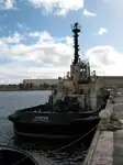 Vilktukas parduodamas