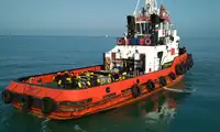 Vilkikas Parduodama