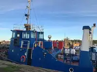 Vilktukas parduodamas