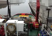 Vilktukas parduodamas