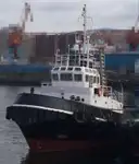 Vilktukas parduodamas