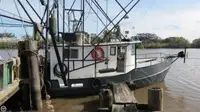 Trawler Parduodama