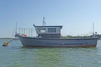 Vilktukas parduodamas