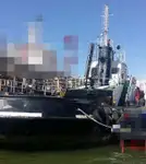 Vilktukas parduodamas
