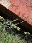 Barža parduodamas