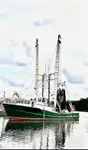 Trawler Parduodama