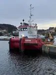 Vilktukas parduodamas