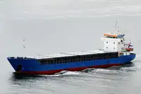 Birių krovinių laivas Parduodama