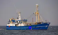 Beam trawler Parduodama