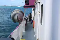 General Cargo/Multi-purpose parduodamas