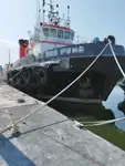 Vilktukas parduodamas