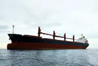 Birių krovinių laivas Parduodama