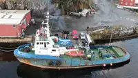 Vilkikas Parduodama