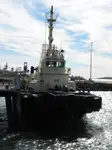 Vilktukas parduodamas