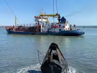Dregirė parduodamas