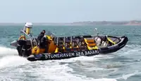 Tvirta pripučiama valtis Parduodama