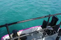 General Cargo/Multi-purpose parduodamas