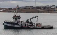 Vilktukas parduodamas