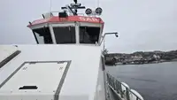 Vilktukas parduodamas