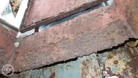 Vilktukas parduodamas