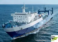 Ro-Ro ship Parduodama