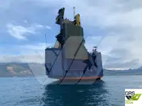 Ro-Ro ship Parduodama