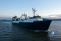 Trawler Parduodama