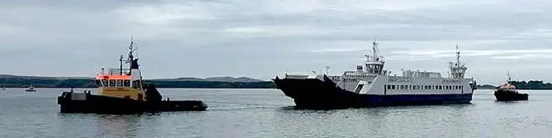 Vilktukas parduodamas