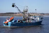 Purse seiner Parduodama