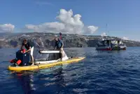 Vilktukas parduodamas