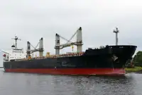 Birių krovinių laivas Parduodama