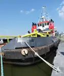 Vilktukas parduodamas