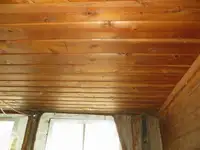 Vilktukas parduodamas