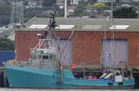 Trawler Parduodama