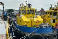 Vilkikas Parduodama