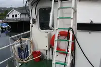 Vilktukas parduodamas