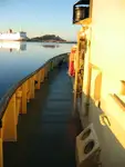 Vilktukas parduodamas