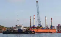 Vilkikas Parduodama