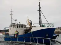 Trawler Parduodama