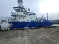 Vilktukas parduodamas