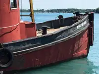 Vilktukas parduodamas