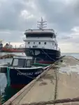 Purse seiner Parduodama