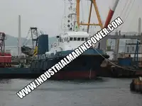 Vilktukas parduodamas