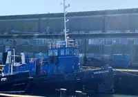 Vilktukas parduodamas