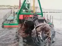 Žemsiurbė Parduodama