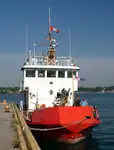 Dregirė parduodamas