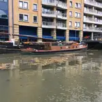 Vilktukas parduodamas