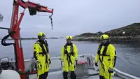 Vilktukas parduodamas