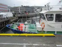 Vilktukas parduodamas