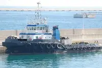 Vilkikas Parduodama